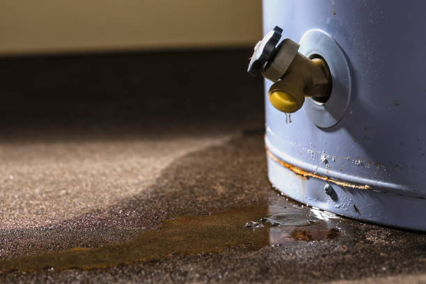 Best Mold removal after water damage  in Plover, WI
