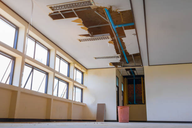 Best Water damage restoration near me  in Plover, WI