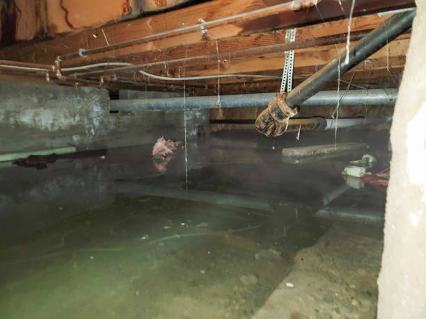 Best Ceiling water damage repair  in Plover, WI
