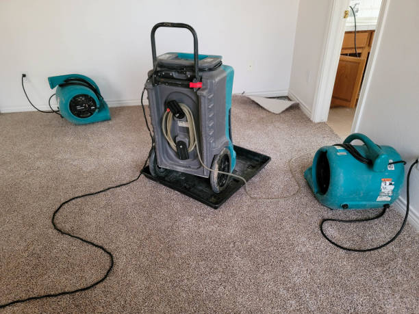 Best 24/7 water damage repair  in Plover, WI