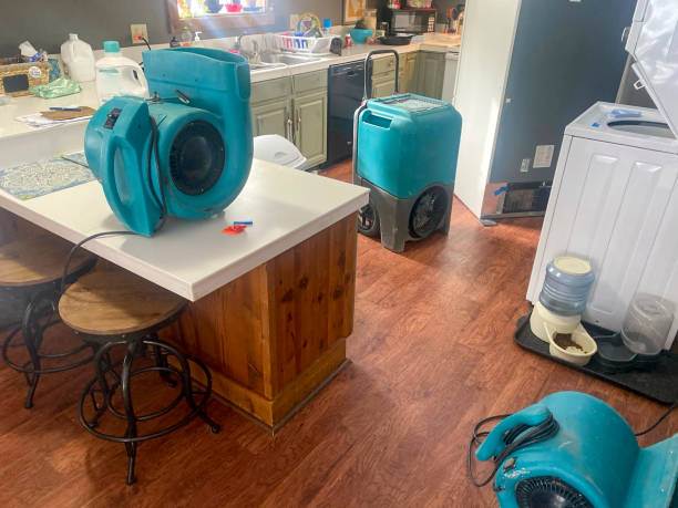 Best Water damage cleanup near me  in Plover, WI
