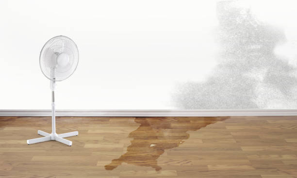 Best Water damage contractors near me  in Plover, WI