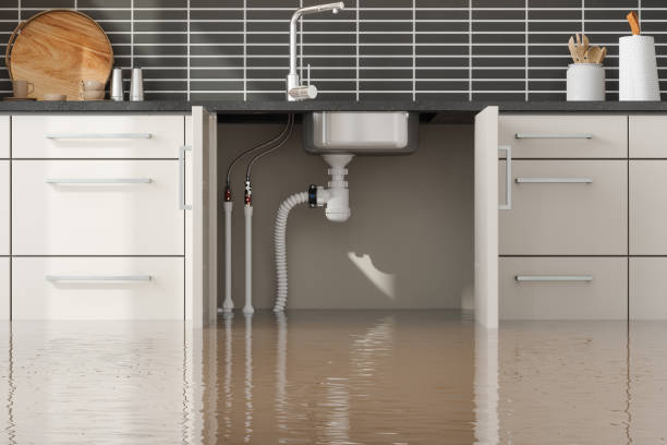 Best Flood restoration services  in Plover, WI