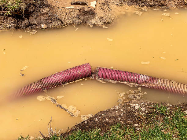 Best Local water damage restoration  in Plover, WI