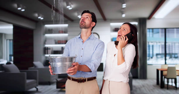 Best Fire Damage Restoration  in Plover, WI