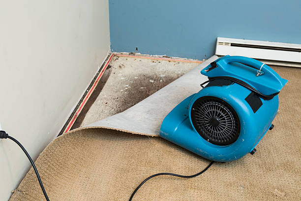 Best Commercial water damage restoration  in Plover, WI